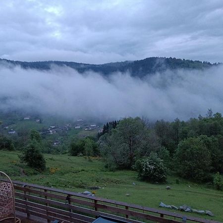 Les Chalets Bambi & Jacuzzi Privatif La Bresse Exterior foto
