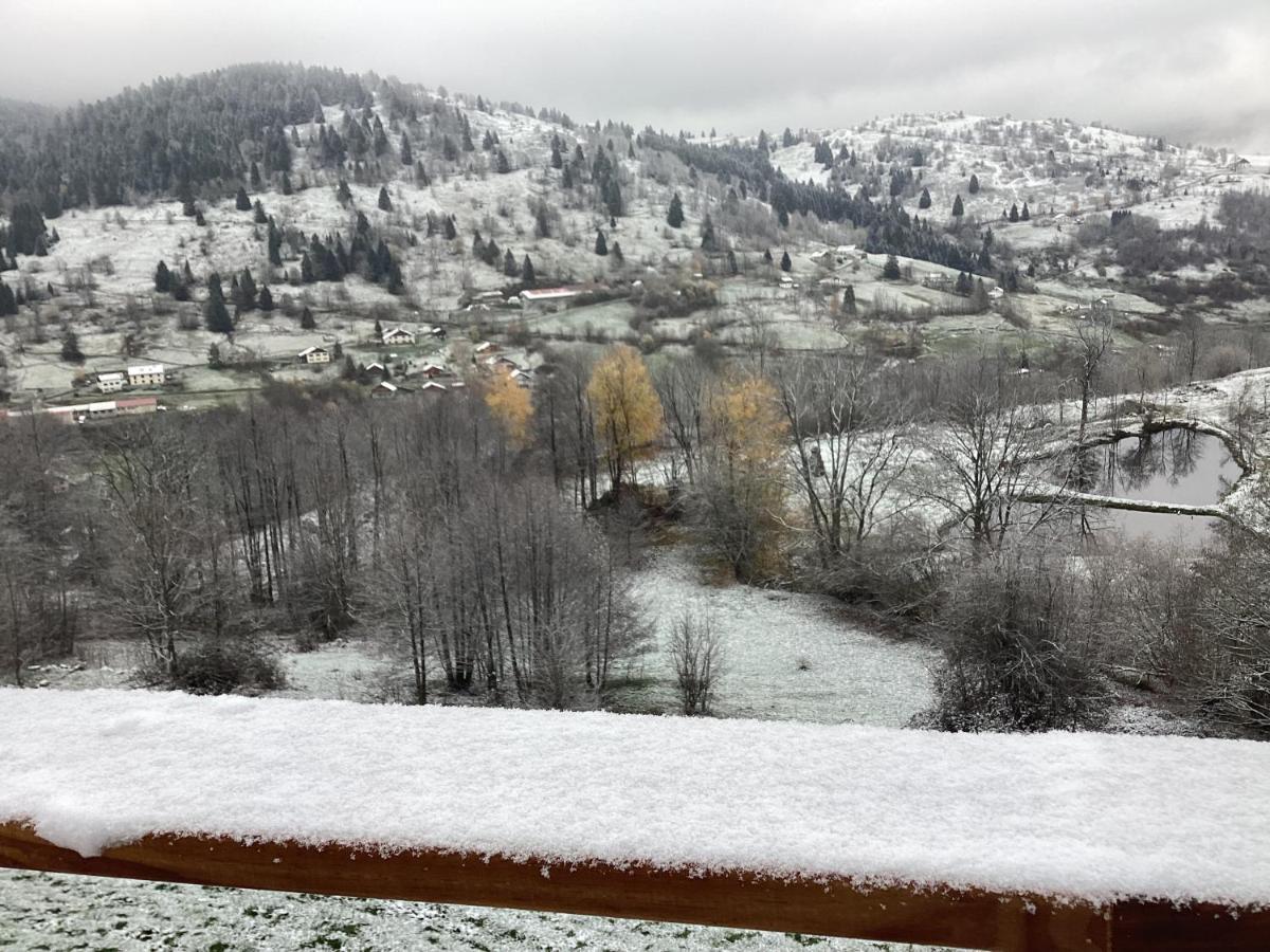 Les Chalets Bambi & Jacuzzi Privatif La Bresse Exterior foto