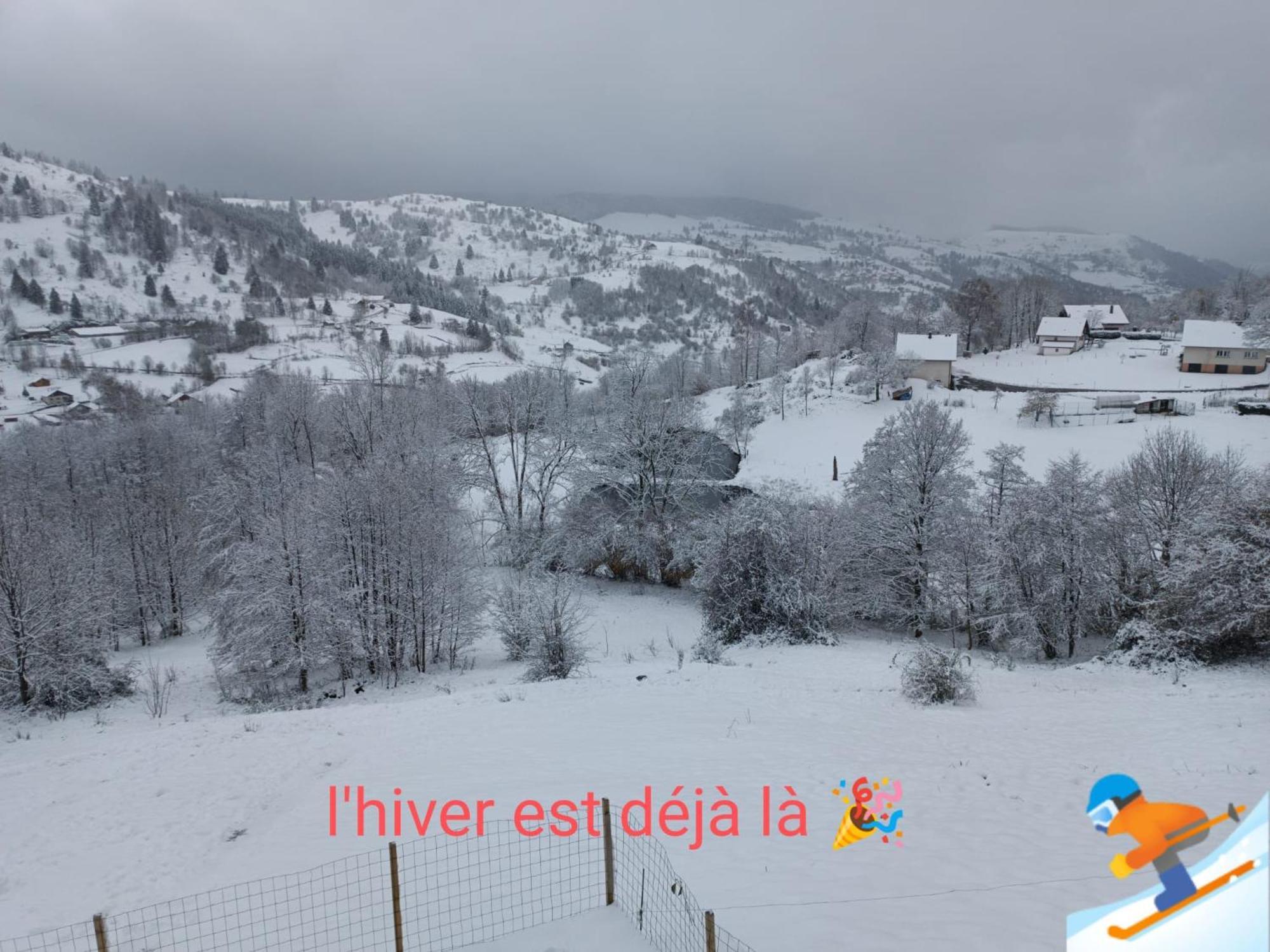Les Chalets Bambi & Jacuzzi Privatif La Bresse Habitación foto